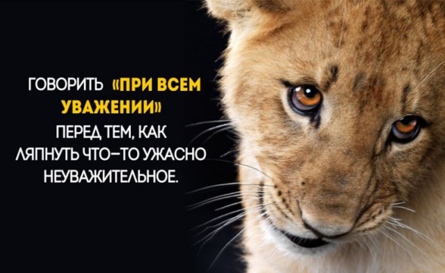 Привычки, которые действуют на окружающих как красная тряпка на быка