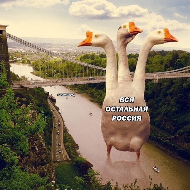 Всякая всячина #11