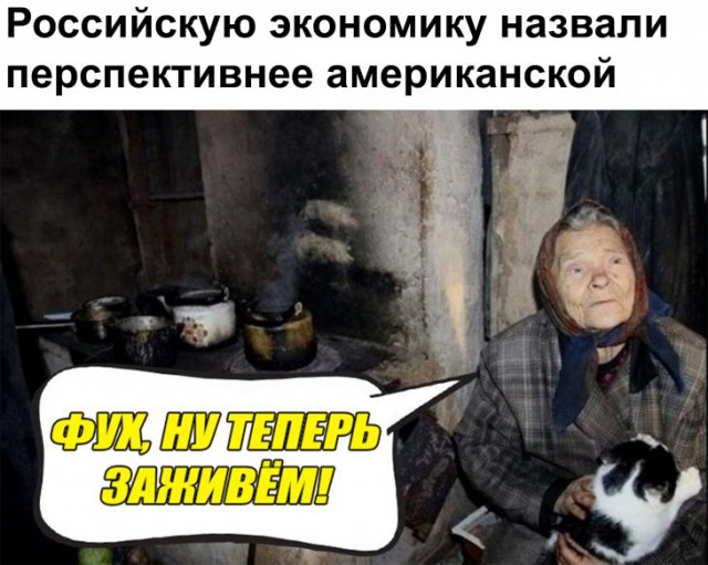 Анекдоты, соц-сети и картинки с надписями