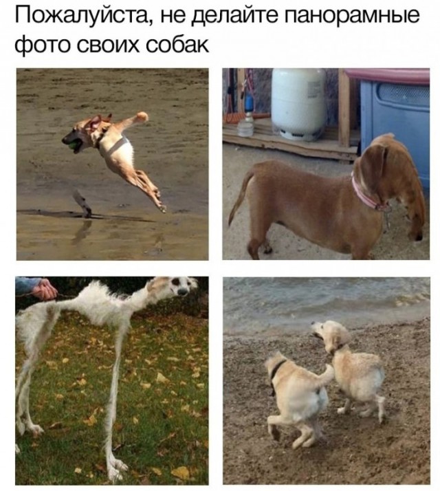 Свежие мемы и демотиваторы