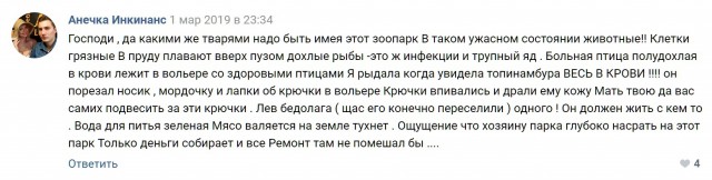 Спасем животных вместе!