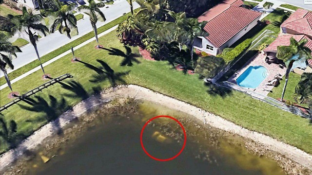 Карты Google Earth помогли найти машину и останки мужчины, пропавшего без вести 22 года назад