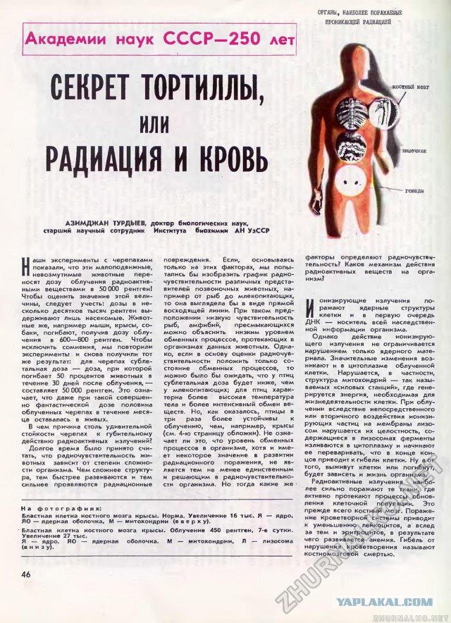 Американцы были на Луне: НАСА представлены очередные доказательства