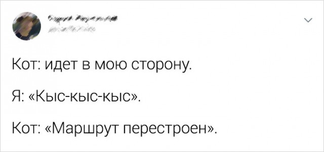 Вещи, которые будут понятны только тем, кто делит свою жилплощадь с котом