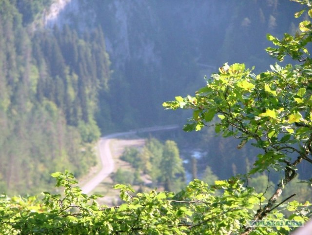 Абхазия (49 фото)