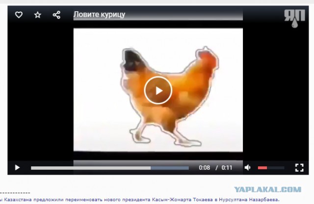 Кому нечем заняться: ловите курицу, нажимая на паузу