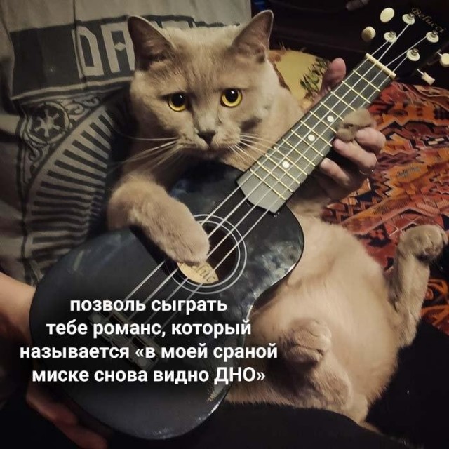 До печенок достали.