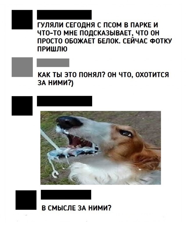 Пир для глаз во время чумы