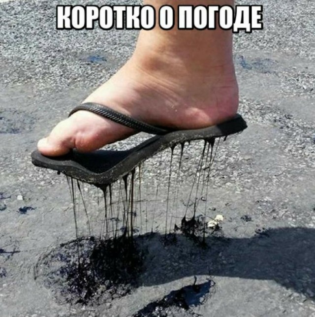 Так себе картинки 29.07.20