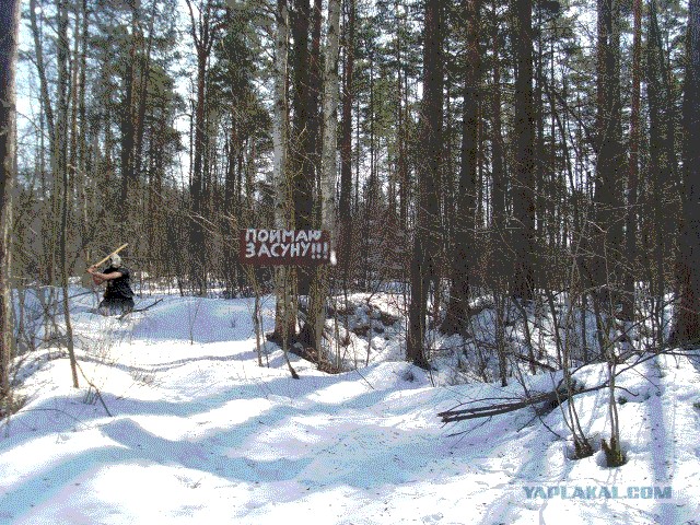 Не надо мусорить