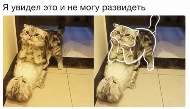 Боянистые картинки 19.12.20