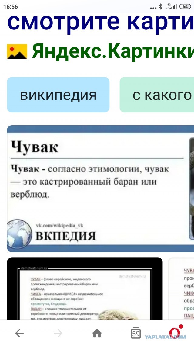 Путин поручил рассмотреть вопрос о сертификатах вакцинированным от COVID-19