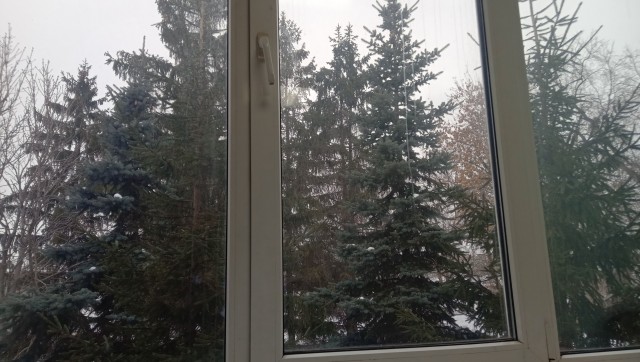 Рабочий вид из окна
