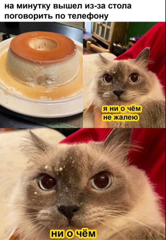 Утро вам не «это»!