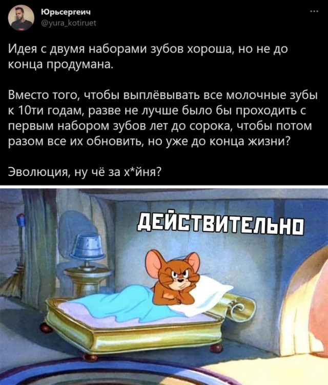 Картинки и мемы для настроения