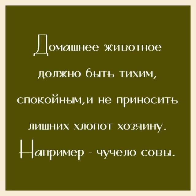 Всяческие картинки