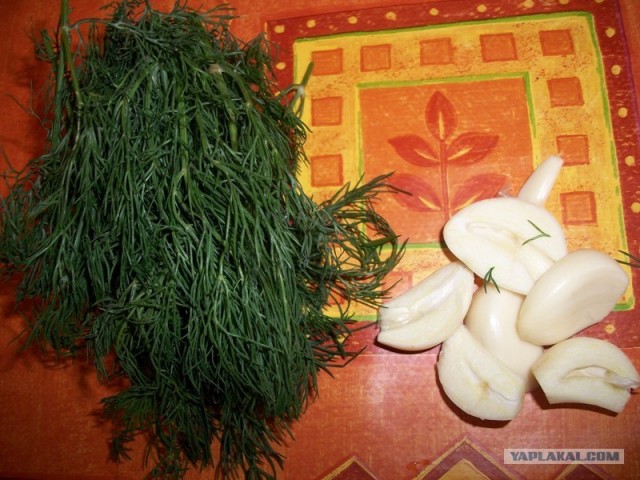 Перчики фаршированные