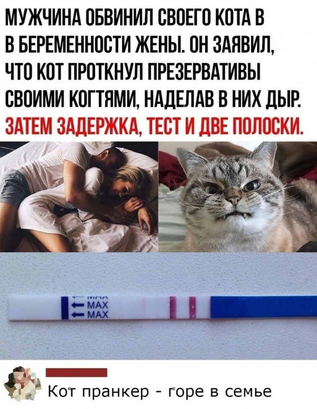 Так себе картинки 05.09.21