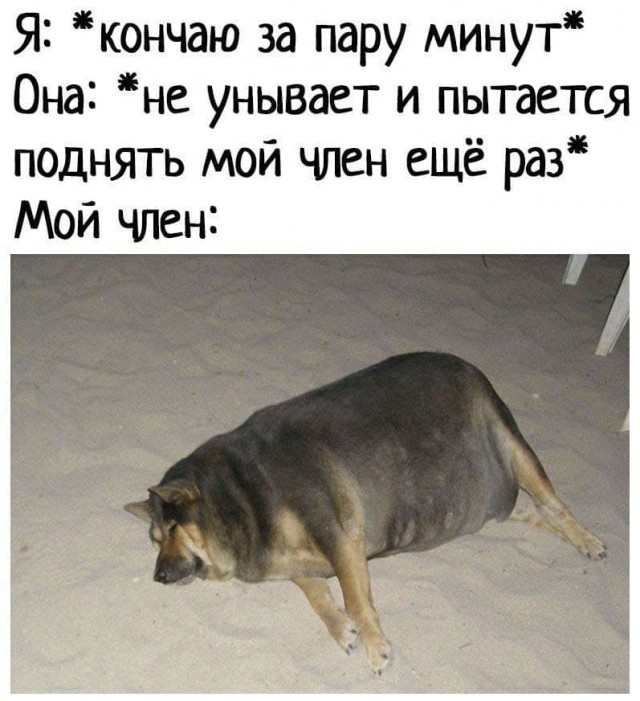 Пятница. И немного слегка пошлых картинок с надписями и без 16+ (17.09))