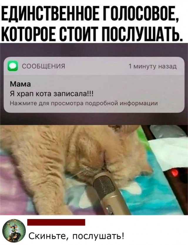 Так себе картинки 18.09.21