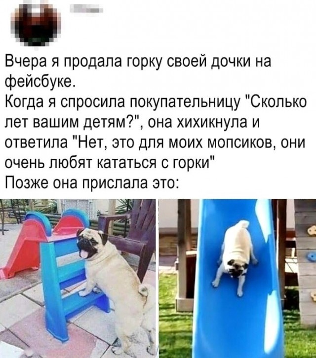 Так себе картинки 28.09.21