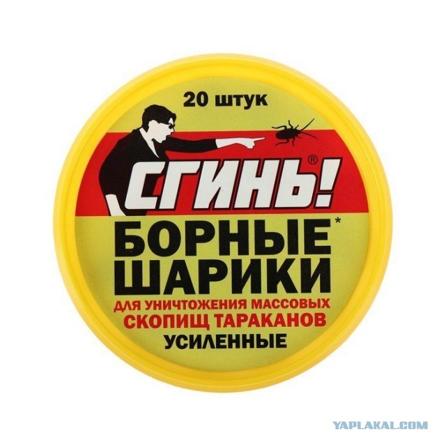 Чёрный таракан: Рыжий таракан в доме — трагедия, а чёрный — КАТАСТРОФА. Как живёт спецназ от мира вредителей?