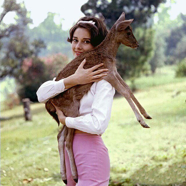 Редкие кадры и архивные снимки 06.04.22