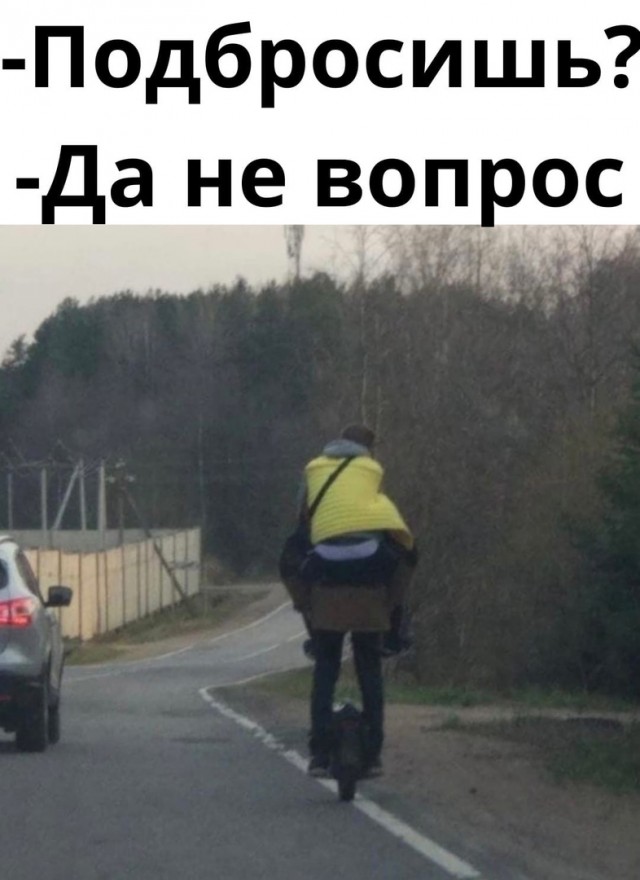 16664857.jpg