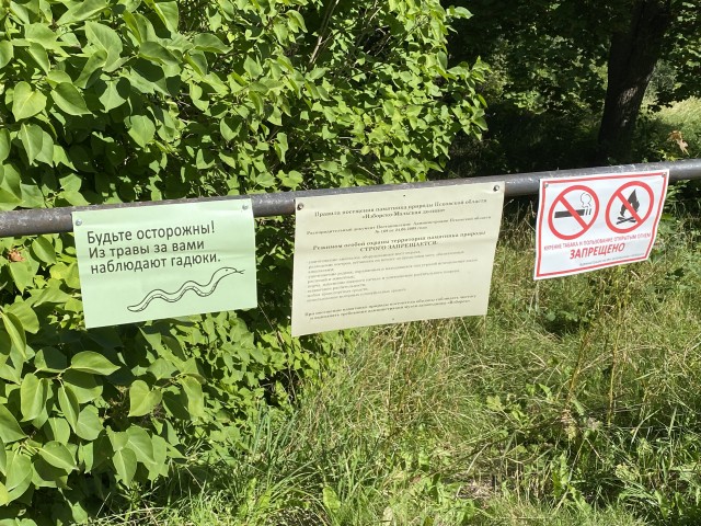 Змея умерла после укуса двухлетней девочки