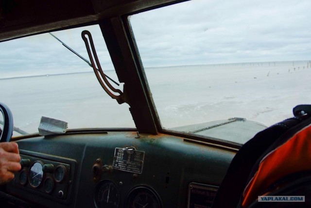 Вот в чем вся соль!