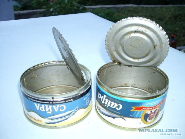 В парламенте Японии призвали Украину сложить оружие
