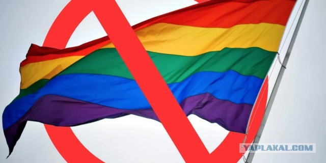 В Госдуму внесен законопроект о запрете ЛГБТ-пропаганды в России