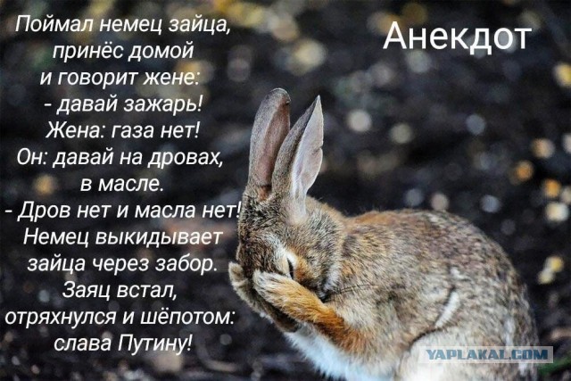 Всё одно и то же каждый год, только хуже