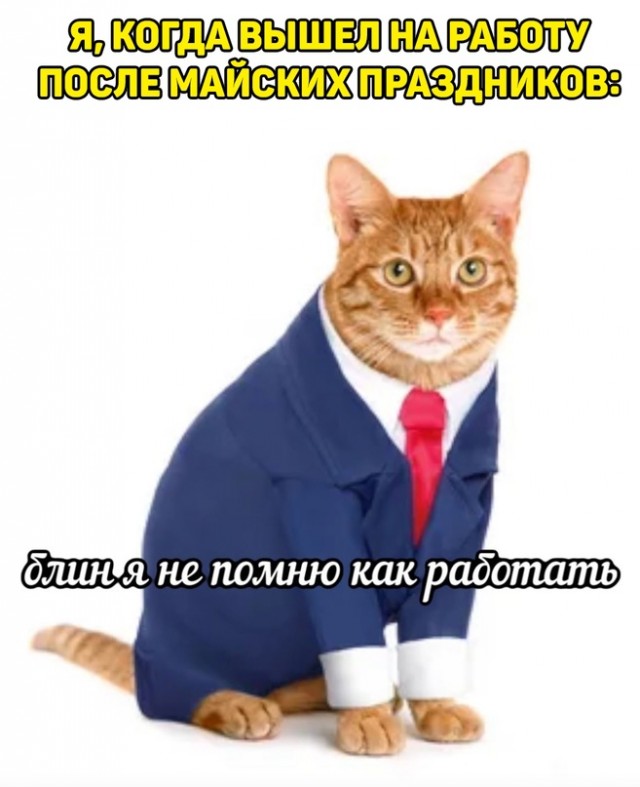 Картинки и мемы, это май-чародей всяко разно - 177