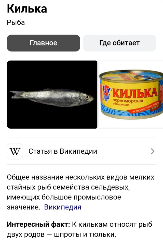 Как бухать с бабой