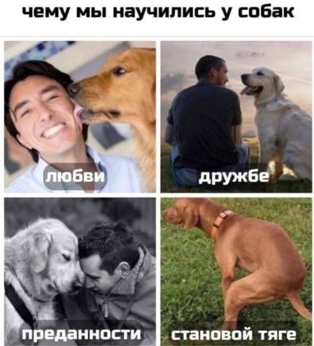 Набор картинок