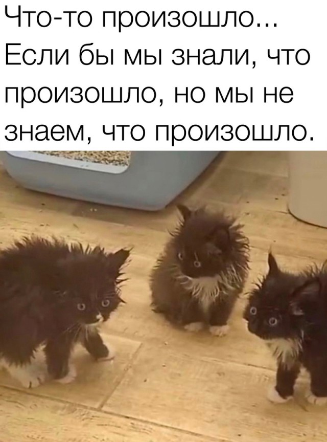 Так себе картинки 02.09.23