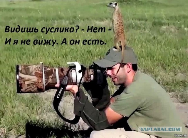 Супер-пупер эффективные приёмы против соперника, который значительно больше вас