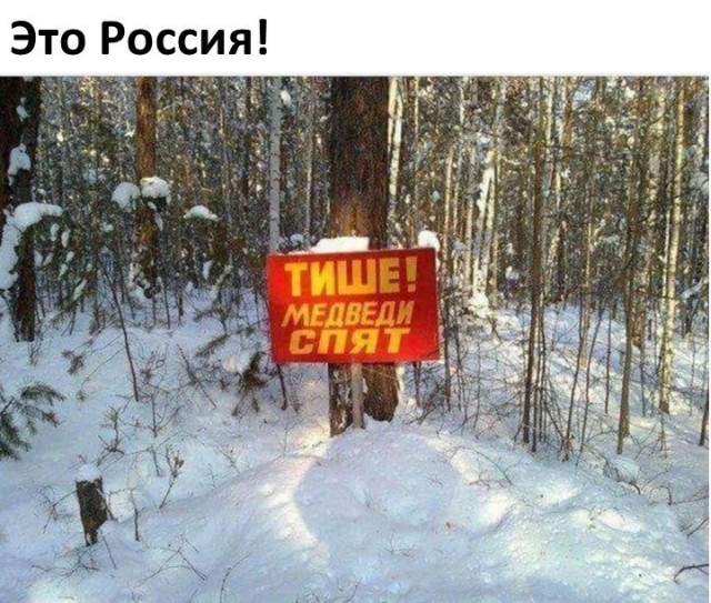 Весёлый полтишок 29.12.23