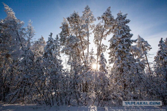 Настоящая Якутия: горячие люди холодной земли