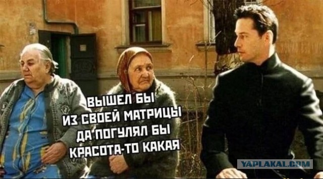 Студент доказал жизнь после смерти