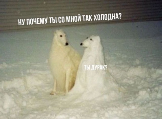 Завалялось тут случайно немного забавных картинок