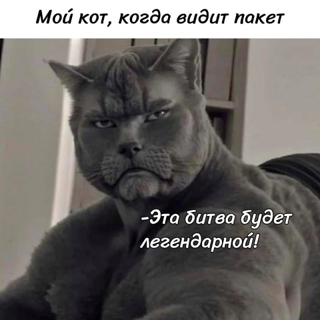 Так себе картинки 16.07.24