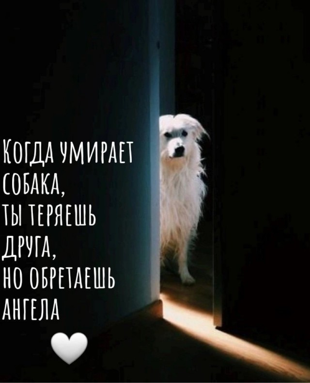 Накатите за достойную дочь лабрадоров в этот понедельник