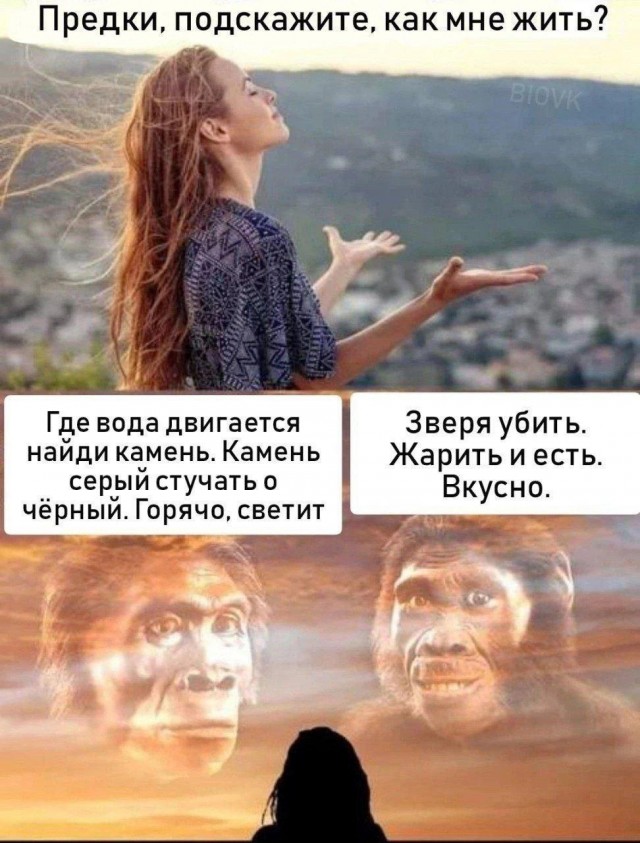 ЦБ допускает повышение ключевой ставки на ближайшем заседании совета директоров 20 декабря, сообщила Набиуллина
