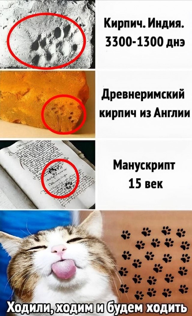 Завалялось тут случайно немного забавных картинок