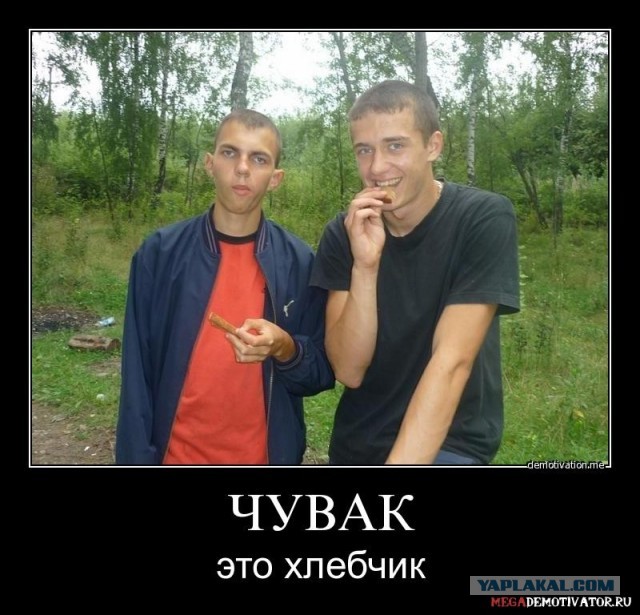 Зладей Хлебчик