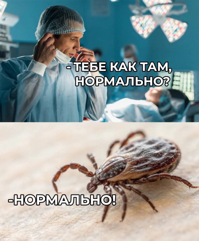 Так себе картинки 10.06.25