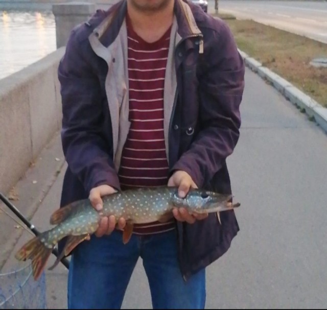 Четверг рыбный день.