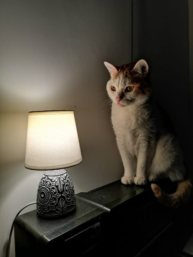 Вторник ведь.....